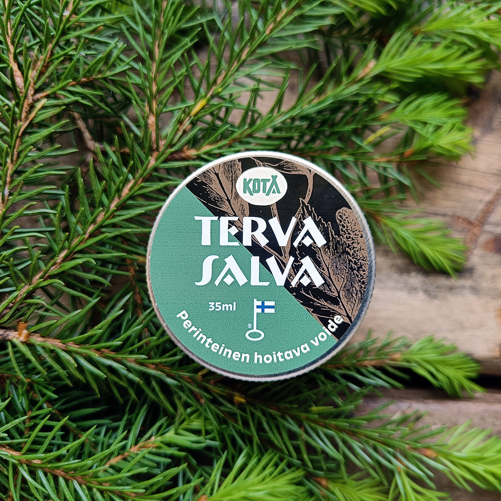 Tervasetti
